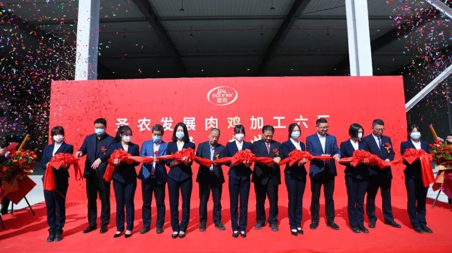 20220413093052 金狮贵宾会宾至如归-尊贵显赫